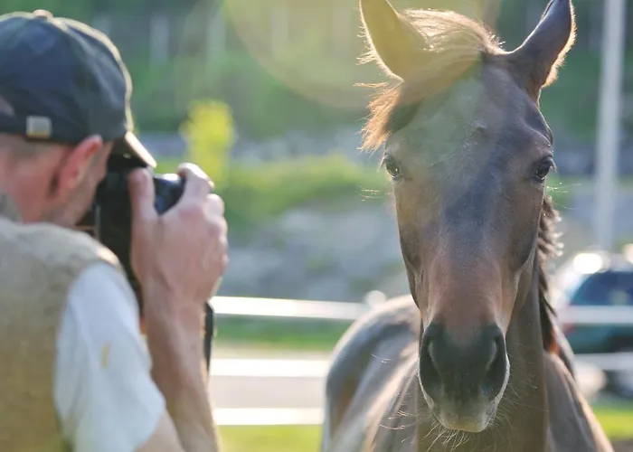 The Sun - Family 4* Tropea