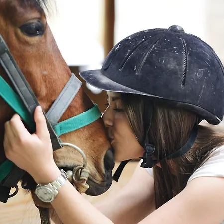 B&B The Sun - Family 트로페아