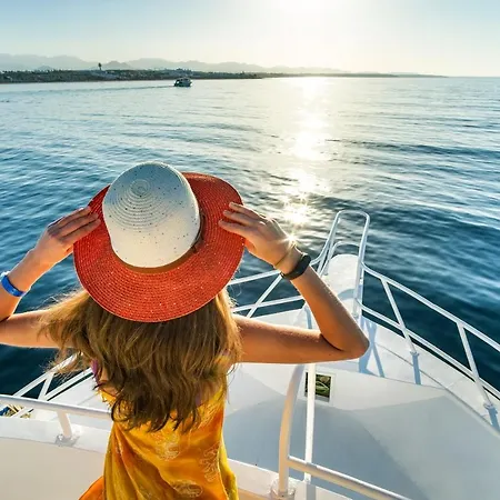 The Sun - Family 4* 트로페아