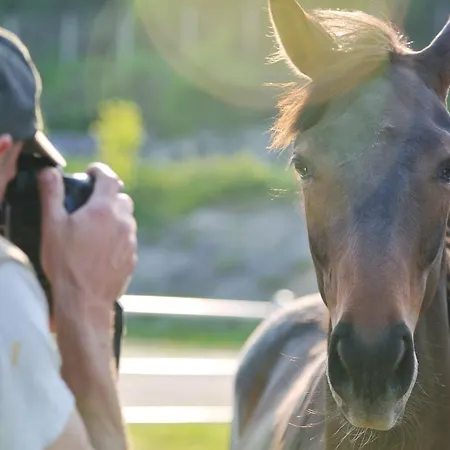 The Sun - Family 4* 트로페아