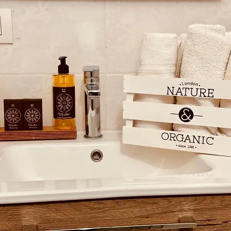 The Sun - Family 4* 트로페아