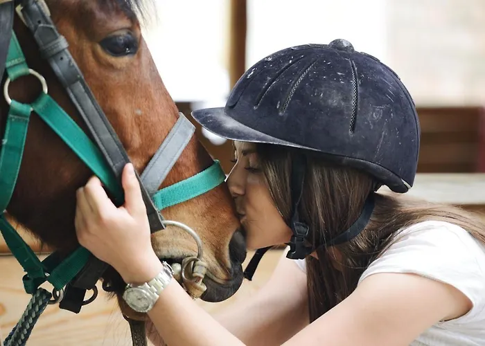 לינה וארוחת בוקר The Sun - Family טרופאה